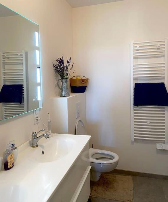 モンブシェ＝シュル＝ジャブロンPeaceful Retreat In Drome Provencale Castelアパートメント エクステリア 写真